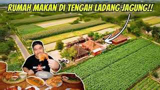 NEMU MAKANAN ENAK DI TENGAH LADANG JAGUNG!!