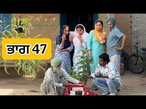 ਇਲਤੀ ਬੁੜੇ ਭਾਗ 47 PUNJABI BEST SHORT MOVIE 2025 | A NEW PUNJABI FILM VCR WALE JATT