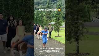 Siapa yang udah pernah naik kuda pony???