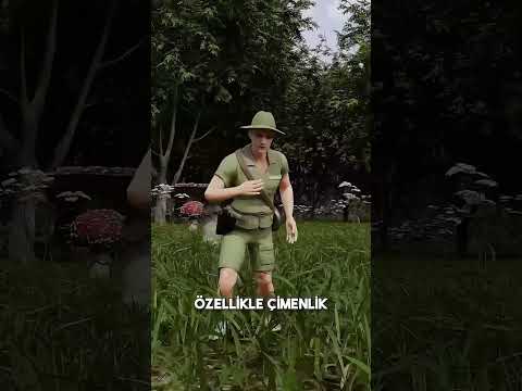 Birgün karınca kadar küçülseydiniz