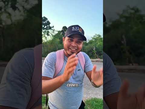 Las ocurrencias de papilo