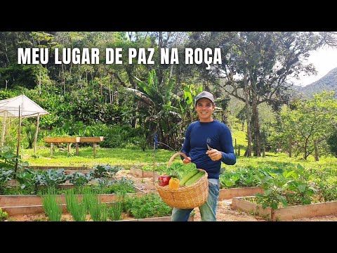 LUGAR DE PAZ NA ROÇA: COLHEITA NA HORTA ORGÂNICA DO SÍTIO + VENDI PARTE DAS MINHAS CRIAÇÕES