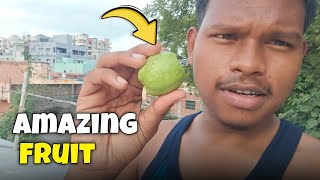 Exploring Amazing Fruits  | Fresh & Natural Fruit Vlog