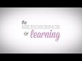 Learning Variables and Their Importance