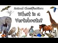 Characteristics of Animals: Mammals, Birds, Fish, and Reptiles