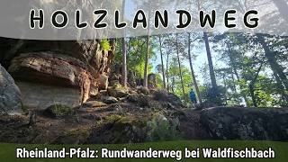 Wandern auf dem Holzlandweg – Abwechslungsreiche Rundtour durch das Pfälzer Holzland