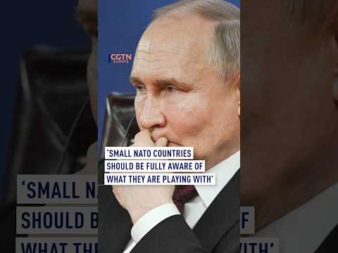 Putin: ‘NATO countries should be fully aware of what they are playing with’