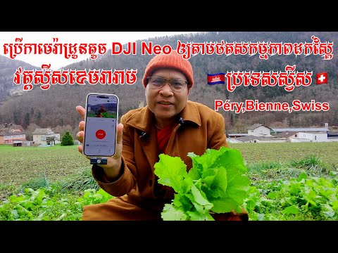 ប្រើកាមេរ៉ាដ្រូនតូច DJI Neo ឲ្យតាមថតទៅដកបន្លែស្ពៃលើដីចម្ការនៅវត្តស្វីសខេមរារាម