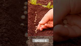 Success is #short #positivemessage #caring