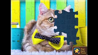 Cat puzzle