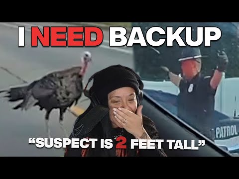 Unruly Turkey REFUSES To Back Down Forcing Officers To Call For Help | best of bodycam #33