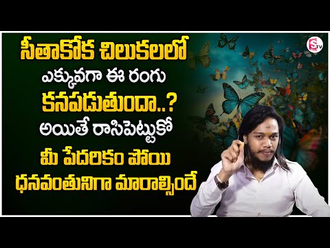 Vibrant Vamsi : The Power of Butterfly Synchronicity | Law of Attraction | Money Management | STVDM