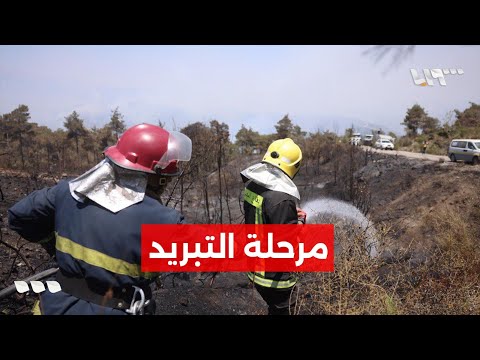 إلى أين وصلت عمليات إخماد الحرائق في ريف اللاذقية؟.. التفاصيل مع مراسلنا منير الحاجي