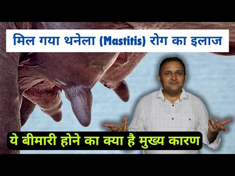 ये 2-4 मिनट बचा सकती हैं आपके लाखों रुपए - (Mastitis) थनेला रोग - एक ख़तरनाक बीमारी का इलाज संभव