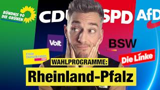 Wahlprogramme einfach erklärt (SPD, CDU, AfD & Co.): Rheinland-Pfalz Wahl