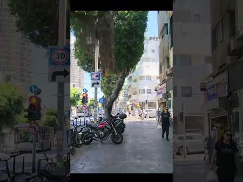 Tel Aviv After the Victory Over Iran.  #ישראל #israel  #iran #איראן  #iranmissile #israelonly