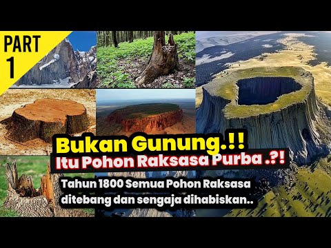 Grade A! TEORI POHON RAKSASA PURBA 1000 Meter Mengubah Sejarah Dunia PART 1/2