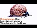 Understanding Reductionism and Memory in Brain Science