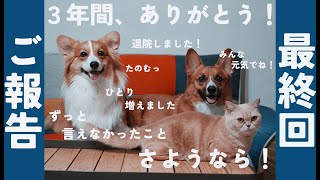 最終回ちいむうととろ、４兄妹になる