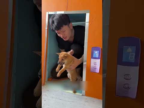 Ми живемо в маленькому будинку!!