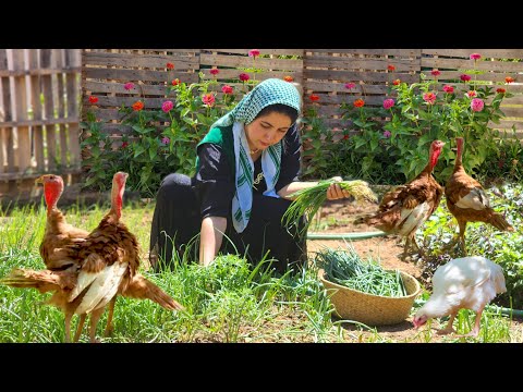 Baking Two Local and Traditional Bread "Kelaneh" & "Kolerah" in the Village