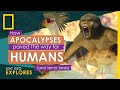 Mass Extinctions and Species Survival