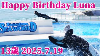 ルーナ13歳お誕生日おめでとう!! 鴨川シーワールド シャチ kamogawaseaworld orca killerwhale