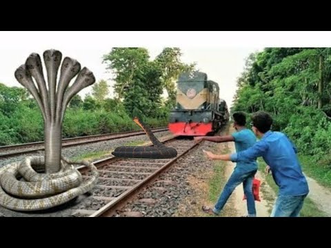 Crazy Anaconda stops the train and escapes in Indian train simulator