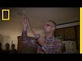 Understanding Snake Handling and Venomous Bites