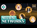 Neural Networks and Their Applications