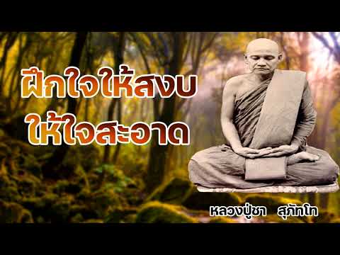 ฝึกใจให้สงบ ให้ใจสะอาด เกิดปัญญา หลวงปู่ชา   สุภัทโท