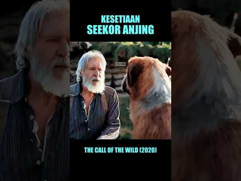 Kesetiaan Seekor Anjing #alurceritafilm #cuplikanfilm #shorts