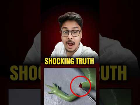 😯గిలిగింతలు పెట్టుకోలేము😯 Top 3 facts part 1 #factsintelugu #amazingfacts #peakfacts #shorts