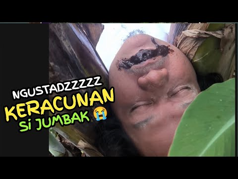 Si JUMBAK Tanaman Bayam Hutan #komedi #bayamhutan #video #trending
