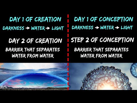 The Creation, Conception, & Delivery Connections