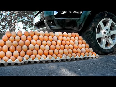 Эксперимент: МАШИНА vs 1000 ЯИЦ