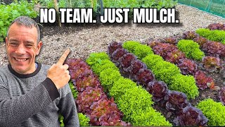 How I Manage This Big Veg Garden On My Own—End of May Tour & My Mulch System