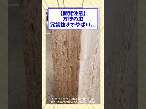 万博の虫、冗談抜きでやばい...#2ch面白いスレ #2ch