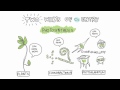 Understanding Dissolved Oxygen in Water