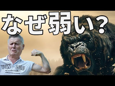 人がゴリラやチンパンジーより弱い理由がこちら【解説動画】