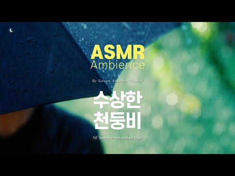 긴 산책, 우산도 없이🌙토도독 쾅쾅, 수상한 천둥비 ASMR