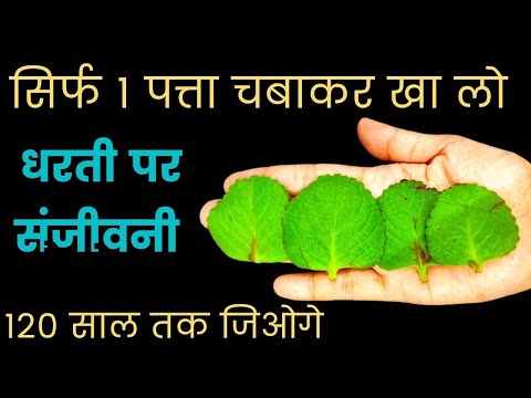 80 बीमारियो का काल है,घुटनो का दर्द,खांसी पेट के रोग,मोटापा हाई बी पी,डाइबिटीज,कोलेस्ट्रोल,knee pian
