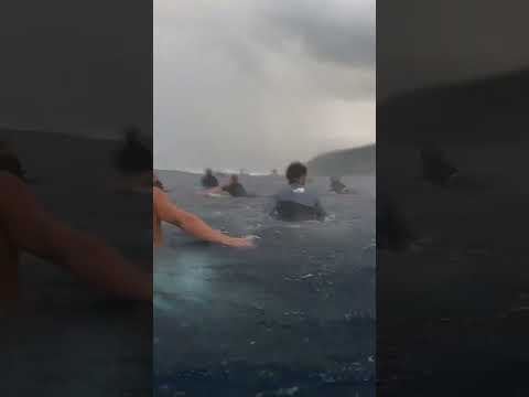 The insane wave take off shocks other surfers