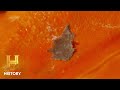 Treasure Hunt Discoveries