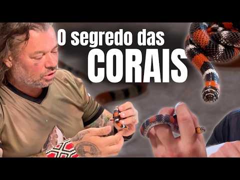 CORAL FALSA OU VERDADEIRA? DESCUBRA O SEGREDO!