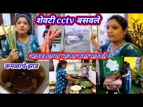 आज दिवसभर वैताग आला मला🤦आज बसले cctv कॅमेरे👍कमळाचे झाड😍आठवड्याच्या भाज्या अशा साठवते👍अरे संसार संसार