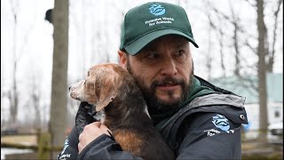 Humane World for Animals saves lives worldwide.