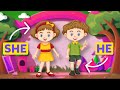 Understanding Pronouns in English