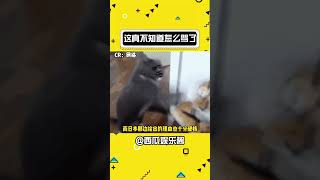 给人一种玩得挺脏，但是干的挺对的感觉#CS #名场面 #神操作