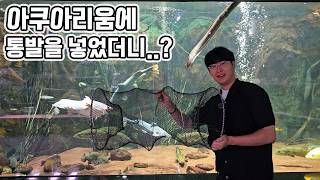 통발을 아쿠아리움에 1시간 넣으면 생기는일..ㄷㄷ